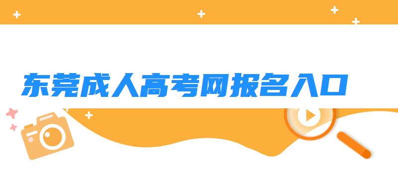 东莞成人高考网报名入口 